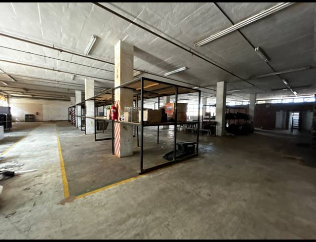 1,000M² WAREHOUSE TO LET IN WYNBERG